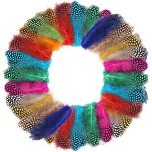 FeelfunFeather 240 pcs Colored Spotted Feathers 2-3inch Bulk Small Guinea Fowl Polka Dot Feather for DIY Crafts Clothing Hats Decoration