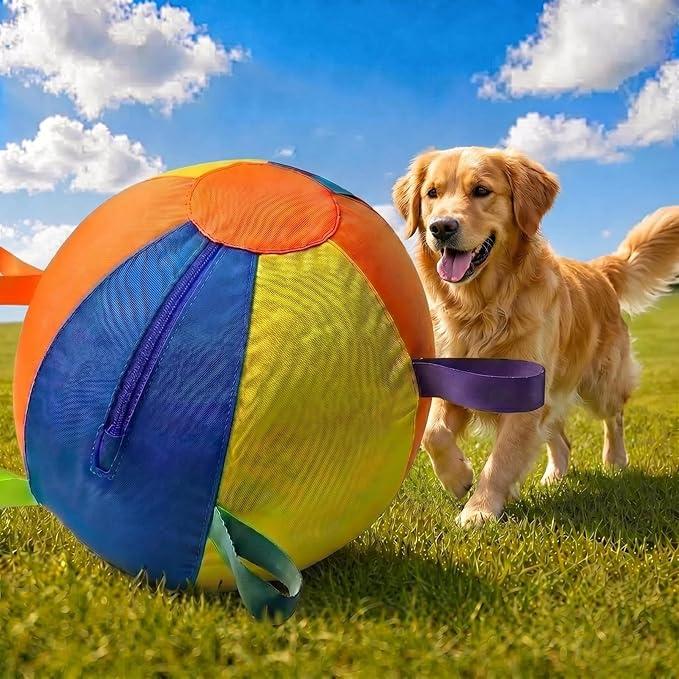 Herding Ball for Dogs, Large Treibball Toy 22.5" Dog Herding Ball, Inflatable Collieballs Dog Training Toy for Medium & Huge Heelers Breeds - Multicolor