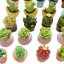 Miniature Potted Plants Resin Decoration 30pcs Random Set for Doll House Pretend Play Toys DIY Mini Home Garden Flowerpot Succulent Planter