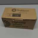 10 Pack Edison Replacement Light Bulbs,7-Watt E17 Screw Base ST40 Replacement Clear Glass Light Bulbs for Outdoor String Lights, Warm White