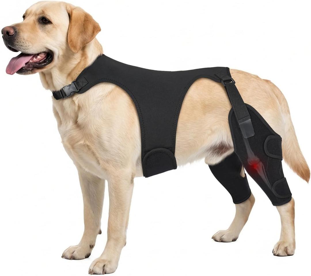 Pawfun Dog Knee Brace for Torn ACL Hind Leg- Dog Leg Support Brace with Metal Stabilizers for Torn CCL, Limping, Luxating Patella, Ligament Injuries, Hip Dysplasia& Arthritis, XL & Vest5