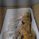 White 22 inches 7 Running Victory Horses Resin Statue Vastu Feng Shui Showpiece for Living Room,Home Decor,Office,Housewarming,Anniversary,Birthday Gift