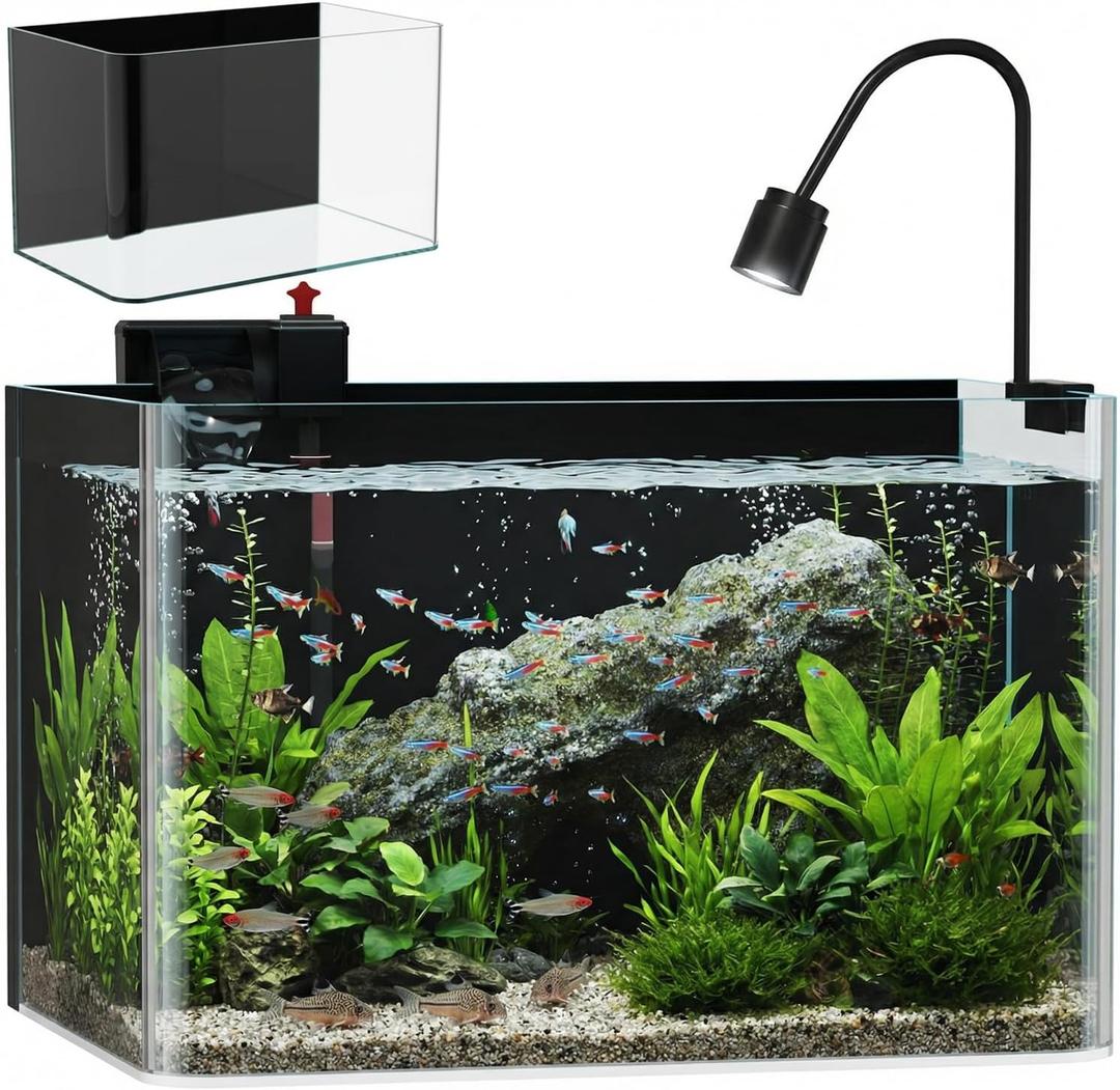 3 Gallon Hot-Bent Black-Back Fish Tank, Aquarium Fish Tank,Easy to Maintain Small Aquarium for Betta/Goldfish/Snails/Shrimp and Aquatic Planting, Perfect for Home, Office, and Decor (EXP 09/04/26)