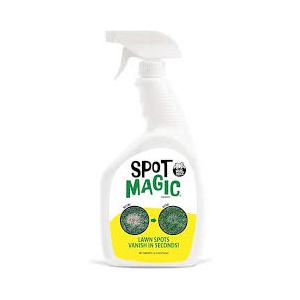 Ready to Spray Lawn Paint. No Mixing Required. Covers up to 100 sq. feet.