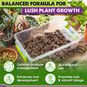 DUSPRO 8in1 Aroid Potting Mix Pre-Mixed Indoor Potting Soil for Aroid Plants, Chunky Soil Mix for Indoor Plants with Pine Bark,Pumice, Coir, Coco Chips, LECA,Perlite, Zeolite,Worm Castings 2QT (EXP 12/01/27)