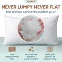 Pillowflex Premium Polyester Pillow Insert - 28x28 Soft Decorative Pillow, 28 Inch by 28 Inch