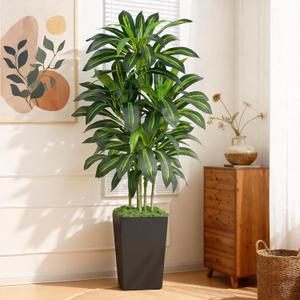 5FT Artificial Dracaena Tree - High-Density Foliage Fake Plant with Black Tall Planter - Faux Yucca Floor Plant for Home Office Decor Indoor