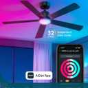 Linkind Matter 52" Smart Ceiling Fan with Lights and Remote, Black