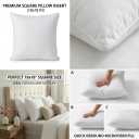 Qeils 20 x 20 Pillow Inserts Set of 2 White Throw Pillow Inserts with Soft Polyester Cover - Rectangle Square Interior Sofa Pillow Inserts Decorative Pillow Insert White Couch Pillow