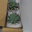 Der Rose Set of 2 Succulents Plants Artificial Fake Cactus Plants for Living Room Bathroom Bedroom Aesthetic Home Shelf Decor