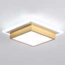 EIDISUNY Modern LED Ceiling Light, Hallway Ceiling Light, 6000K Cold White Flush Mount Ceiling Lamp, Square Hallway Lighting Fixtures for Living Room Bedroom Bathroom Kitchen