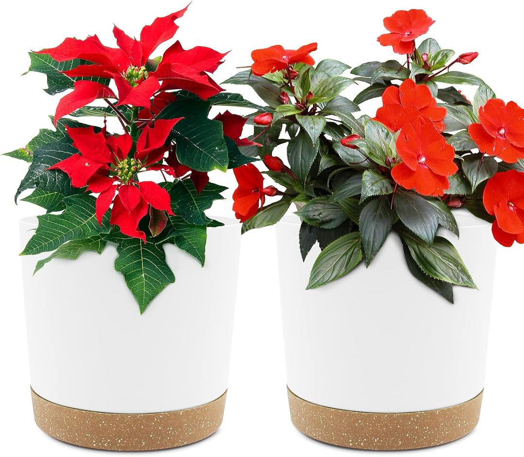 QCQHDU 6.5 inch Plant Pot, 2 Pack Planters for Indoor Plants with Drainage Holes & Saucer, Outdoor Flower Pots Home Garden Modern Decor (White)