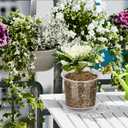 40 Pack 4/5/6/7 Inch Clear Nursery Pots with Drainage and Saucer, Clear Plastic Planter Pots for Plants, Flexible Seed Starting Pots for Succulents, Small Herbs, Annual Flowers