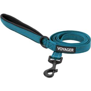 Voyager Reflective Dog Leash with Neoprene Handle, 5ft Long, Supports Small, Medium, and Large Breed Puppies, Cute and Heavy Duty for Walking, Running, and Training - Turquoise (Leash), S