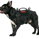 OneTigris Dog No Pull Tactical Dog Harness,Military Dog Harness for Easy Walking with Durable Vertical Handle for Small Puppy Dog(XL, Black)