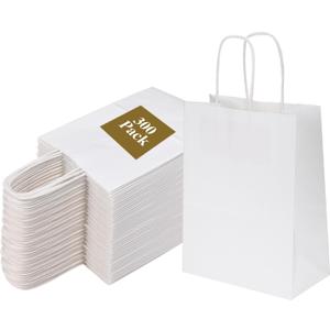 Joybe 300 Pack 5.95x3.25x8 Inch Small White Paper Bags with Handles Bulk, Kraft Paper Gift Bags for Birthday Party Favors Grocery Retail Shopping Business Goody Merchandise Craft Blank Sacks (300pcs)