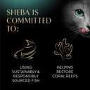 Sheba Perfect Portions Wet Cat Food Cuts in Gravy, Cat Food Wet Recipe, Roasted Chicken Entree and Turkey Entree, Variety Pack, Twin-Pack Trays (12 Count, 24 Servings) (EXP 02/01/28)