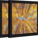 8x8 Picture Frame Set of 2,8x8 Picture Frame Black, Diploma Certificate Frame, Display Pictures Square Frame 