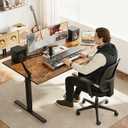 Agilestic Electric Standing Desk, 48 x 28 Inches Height Adjustable Desk, Sit Stand up for Work Office Home, Ergonomic Rising Computer Table with Memory Preset, Rustic Brown