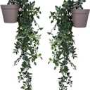 VENTO 2 Pack Fake Artificial Hanging Plants with Pots, Faux, Vines, Pathos, Greenery for Home, Garden, Office, Balcony, and Indoor/Outdoor Decor, Durable Plastic, No Maintenance, Brown, 28x10x10 cm