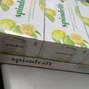 Spindrift Lemon Limeade Can 12 Ounce (Pack of 24) (EXP 05/31/27)