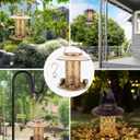 Solar Bird Feeders for Outdoors, Metal Hanging Bird Feeder with 3 Water Cups,Rust Resistant, Solar Garden Lantern for Outdoors Decor,The Perfect Choice for Gift(2.5LB)