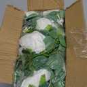 Dolicer 2Pcs 13Ft Artificial Eucalyptus Garlands with Flowers, Faux Floral Greenery Garlands with 13Ft String Lights Fake Flowers Vines for Wedding Centerpieces Arch Party Decor (White)