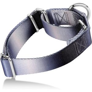 Martingale Dog Collar Colorful Gradient Fashionable - Anti-Escape Soft Durable Pets Collar for Walking Training Outdoor Daily Use -Medium, Blue Black (Medium: 14" -21", Silver grey to Black Gradient)