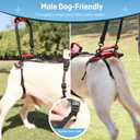 Dog Lift Harness for Large Dogs, Full-Body Support Dog Harness for Stairs & Hind Leg Weakness, Senior Dog Walking Assist, Male Dog-Friendly & Comfortable, Red, L