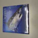 Gifted Stationery Co, Sharks 2025 Wall Calendar