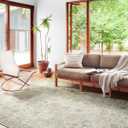 Loloi II Skye Collection SKY-14 Natural/Sage 5'-0" x 7'-6" Area Rug