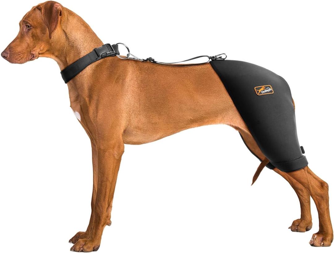 Dog Hip Brace with Hot/Cold Compress, Support for Hip Dysplasia, Arthritis, Back Leg limping, Prevents Hip Joint Issues, Reduce Hip Pain (Male Dog, XXL)