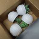 Der Rose Set of 4 Succulent Plants Artificial in Pots Small Fake Plants for Bedroom Aesthetic Living Room Shelf Bathroom Decor Office Desk Accessories