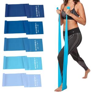 5 Pcs Professional Resistance Bands. Latex-Free, Elastic Band, Work Out Bands, Stretch Bands for Working Out Women or Men, Exercise Bands Set for Physical Therapy, Yoga, Pilates (Gradient Blue Set)