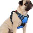 rabbitgoo Dog Harness Small Sized, No Pull Dog Vest with 3 Buckles, Adjustable Soft Padded Pet Harness with Easy Control Handle and Reflective Strips, Blue, S