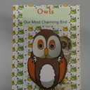 Owls Our Most Charming Bird