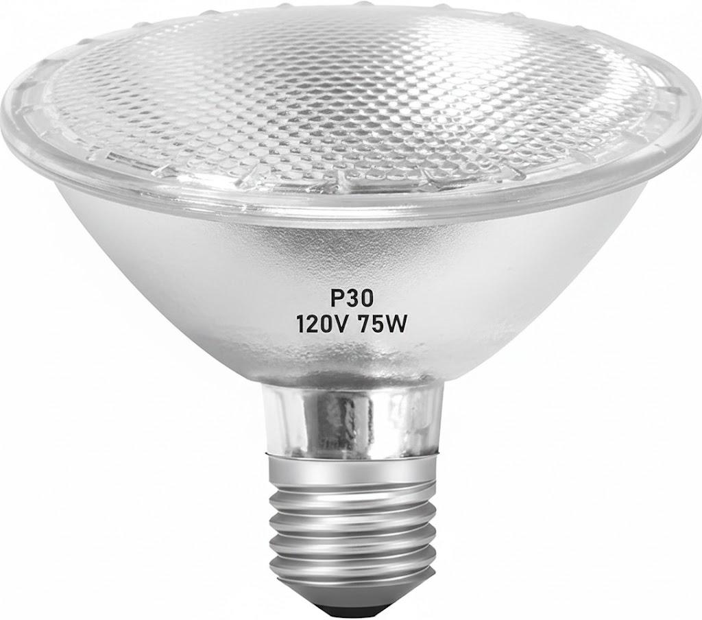 Jaenmsa Par30 Long Neck Halogen Flood Bulbs 75W 120V, Par30 Halogen Indoor Floodlight Bulbs Outdoor E26 Dimmable 2700K Bulb 2 Pack for 56in Recessed/Ceiling Can/Accent/Tracking Lights