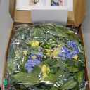 24 Inch Spring Wreath for Front Door, Artificial Hydrangea, Anemone & Wild Daisy Flowers with Berry Accents, Spring and Summer Door Wreath for Indoor Outdoor Decor