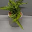 Fake Plants Artificial Tropical Plants Indoor in White Pot for Home Office Desk Accessories Bathroom Sage Green Decor