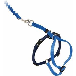 PetSafe Come with Me Kitty Harness and Bungee Leash, Large, Royal Blue (Large (Pack of 1))