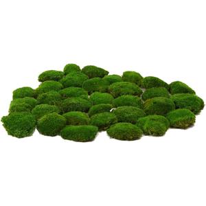 Preserved Pole Moss Pillow Bun Cushion Natural Green Decorative Real Natural DIY Kit Gardenning Art Wall Decor Florist Easter Table Decor Wedding(1.5 sq.ft, Green-C)