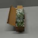 LYLYFAN Babys Breath Artificial Flowers,18 Pcs Gypsophila Faux Flowers for Wedding Party Home Garden Decoration White