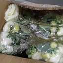 12 Bundles Peonies Artificial White Flowers Bouquet, Lifelike Silk Fake Peonies with Stems for Home Table Centerpieces, Wedding, Party & DIY Bridal Floral Arrangements (White)