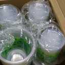 Yinder 200 Pcs 16 oz St Patrick's Day Shamrock Cups Bulk Disposable Clear Green Plastic Drinking Cups for Beverage Ice Cream Beer Snack Irish St Patty's Day Party Decoration Leaf Clover Supply