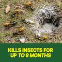 Raid Outdoor Wasp Ground Nest Killer, Dust Insecticide for Outside Household Use on Wasps, Fast-Working, Easy-to-Use and Odorless, 24 oz