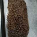 250% Density 13x6 FULL SKINLIKE HD Chocolate Brown Deep Curly lace front wigs Pre Plucked Real 0.10mm Ultra-thin Invisible Water Wave HD Lace Front Wigs Human Hair Small Knots Full Virgin Hair 26 Inch