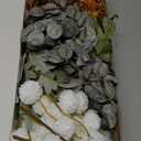 Floroom Artificial Greenery Stems Box Set, 62pcs with 7 Kinds of Faux Greenery Flowers Picks for DIY Bridal Bouquets Wedding Floral Arrangement Table Centerpieces, Terracotta & Amber