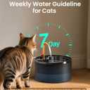 Cat Water Fountain, 71oz/2.1L Cat Fountain for Drinking with Copper Faucet, MISFANS-Designed Pump & Filter, Plastic Automatic Pet Water Fountain Bowl & Dispenser with 3-Pack Replaceable Filters