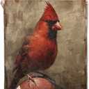 Cardinal Blanket Gifts for Women Men Adults Kids Soft Warm Lightweight Cozy Plush Bird Football Throw Blankets for Bedroom Living Room Sofa Home Decor 50"x40" (Color125)