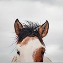 Home It's in the Eyes Printed Canvas